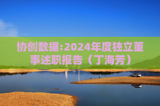 协创数据:2024年度独立董事述职报告（丁海芳）  第1张