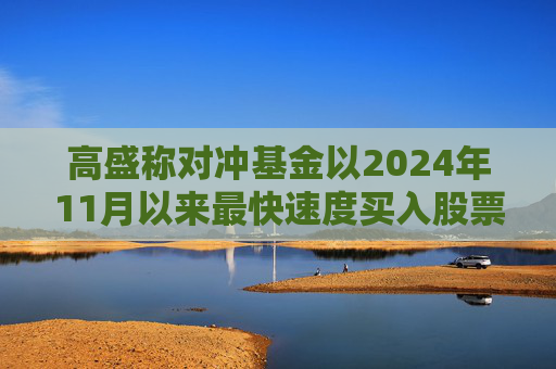 高盛称对冲基金以2024年11月以来最快速度买入股票