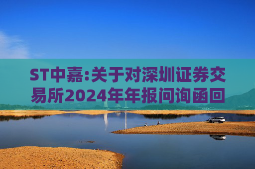 ST中嘉:关于对深圳证券交易所2024年年报问询函回复的公告  第1张