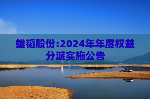 雄韬股份:2024年年度权益分派实施公告