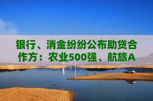 银行、消金纷纷公布助贷合作方：农业500强、航旅APP巨头等跨界频现  第1张