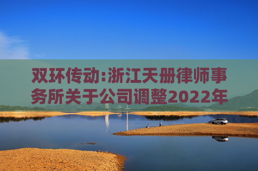 双环传动:浙江天册律师事务所关于公司调整2022年股票期权激励计划行权价格的法律意见书  第1张