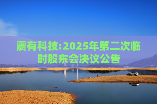 震有科技:2025年第二次临时股东会决议公告