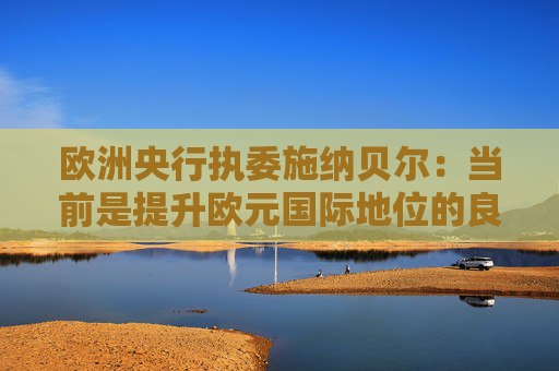 欧洲央行执委施纳贝尔：当前是提升欧元国际地位的良机