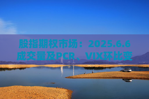 股指期权市场：2025.6.6成交量及PCR、VIX环比变动情况
