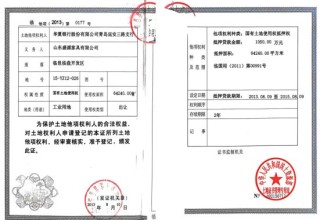 银行另类处置不良债权背后：近百亩土地被以神奇操作抵押贷款