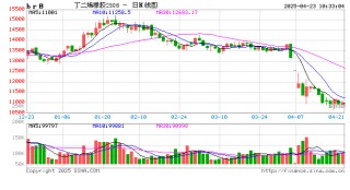 新湖化工（合成胶）5月报：宏观与基本面共振，大方向依旧向下