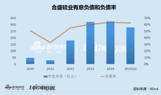 合盛硅业转亏股东清仓式减持：固定资产在建工程有息负债均超300亿 直接融资109亿后拟再大规模募资