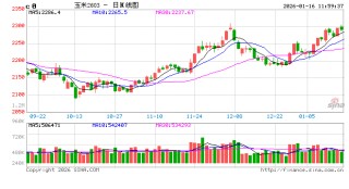 元旦后玉米维持微涨走势 基层货源流转成远期关键变量