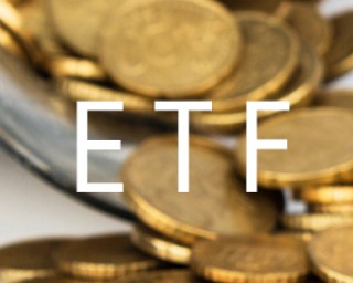 tf期权合约有哪些品种？这些品种有何特性？