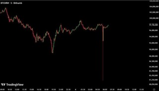 闪崩！超级乌龙指！