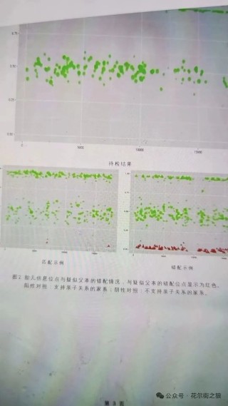 4000点网红分析师自爆怀了50岁基金经理的孩子