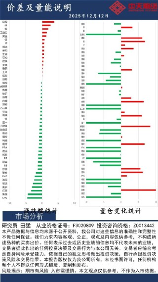 中天策略:12月12日市场分析