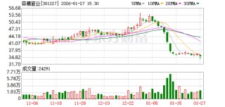 产能利用率低 森鹰窗业预计2025年净利润亏损