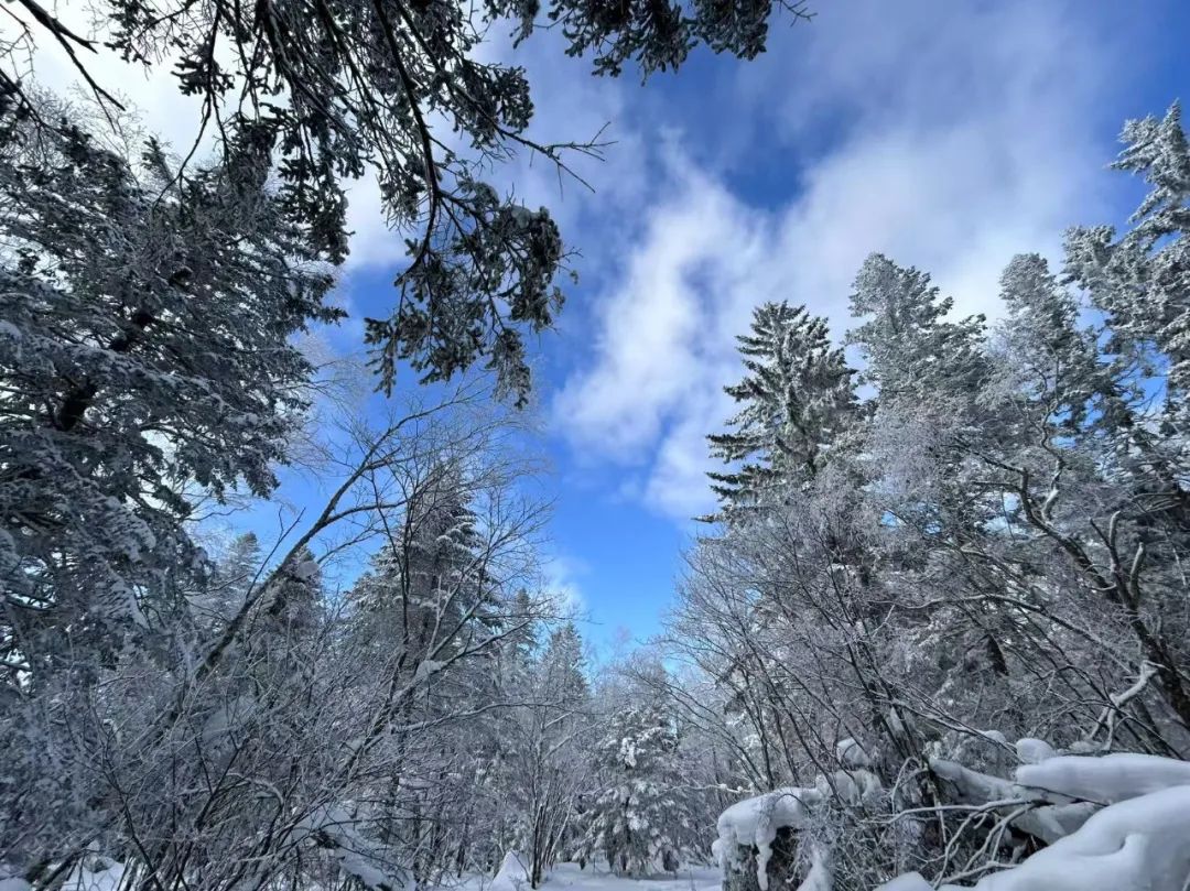 七成内房股退市潮来袭 建业地产困局待破 第1张 七成内房股退市潮来袭 建业地产困局待破 第1张