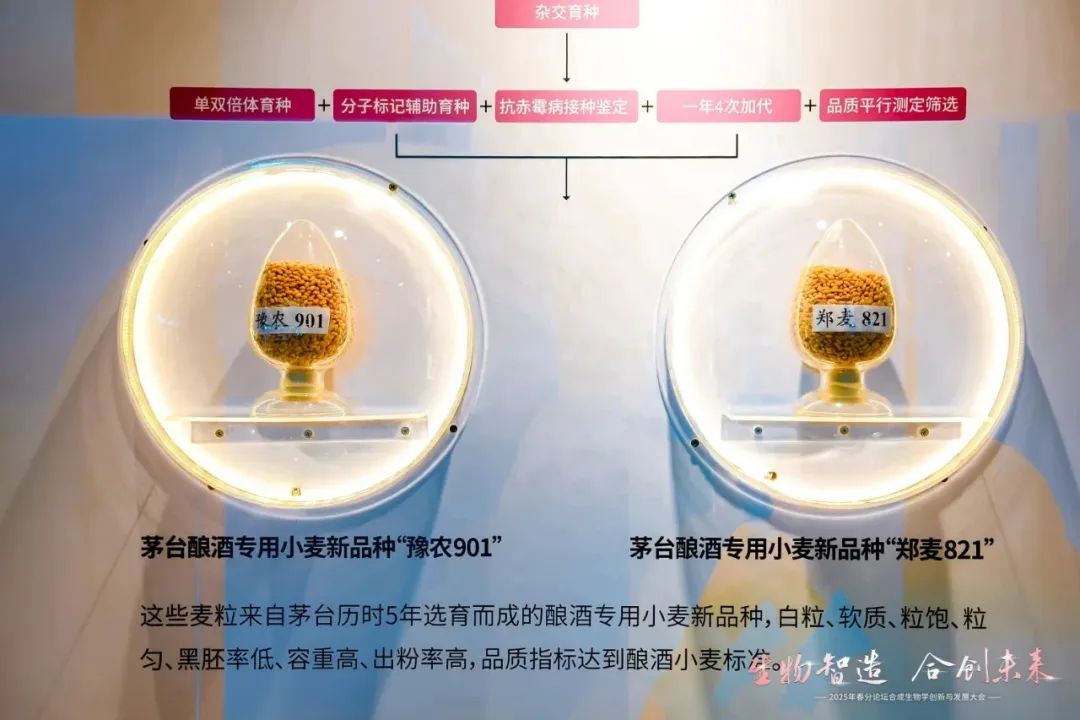 白酒25亿研发投入，都用在哪儿了？  第3张