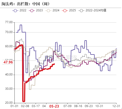 鸡蛋：何处才是底，何时见曙光？  第11张