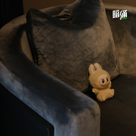 泡泡玛特上市前,我们对王宁的一次未公开访谈 第1张 泡泡玛特上市前,我们对王宁的一次未公开访谈 第1张