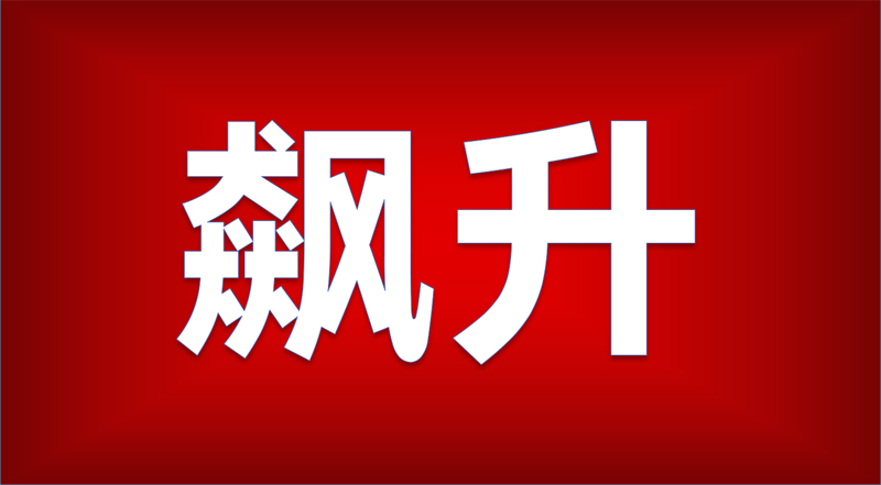 如何进行股票期权程序化交易?交易有哪些要点? 第1张 如何进行股票期权程序化交易?交易有哪些要点? 第1张