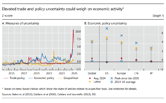 国际清算银行称:关税使美联储面临真实通胀难题 第1张 国际清算银行称:关税使美联储面临真实通胀难题 第1张