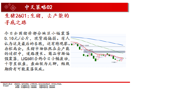 中天期货:白银仍在震荡 棕榈超跌反弹 第4张 中天期货:白银仍在震荡 棕榈超跌反弹 第4张