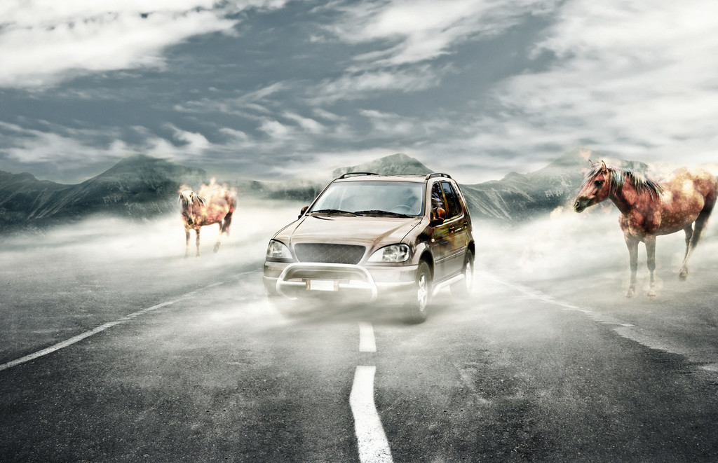 汽车不同车型的适用场景是什么? 第1张 汽车不同车型的适用场景是什么? 第1张