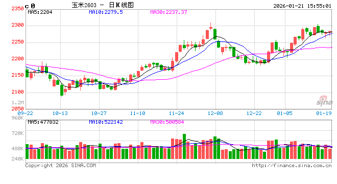年度盘点:2025年饲料玉米需求增量,2026年存减少预期 第2张 年度盘点:2025年饲料玉米需求增量,2026年存减少预期 第2张