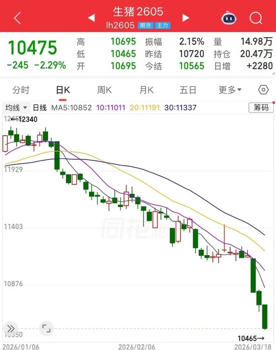 全行业亏损！猪价“跌跌不休”，底在何方？  第3张