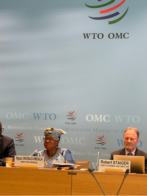 世贸组织全球贸易展望：中东冲突进一步加剧贸易前景放缓 农业将受影响  第1张